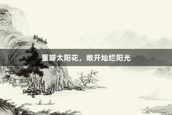 重瓣太阳花，敞开灿烂阳光